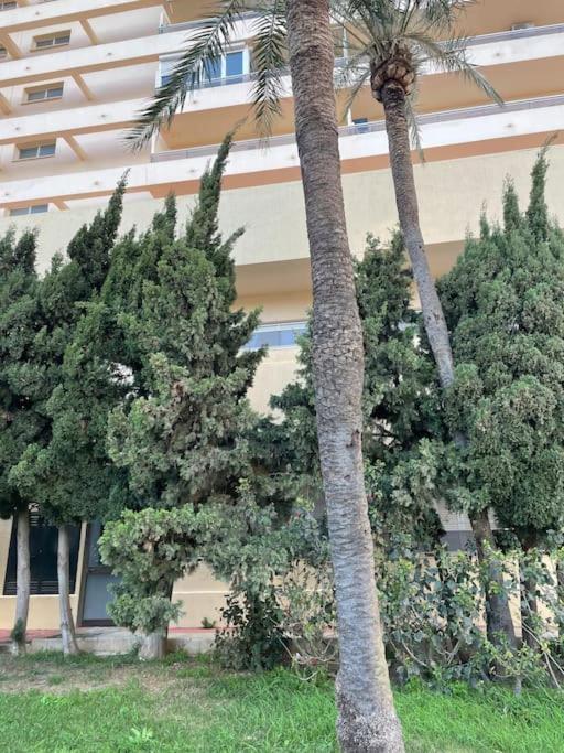 Klimatyczny Loft I Egzotyczny Basen Apartment Benalmadena Exterior photo